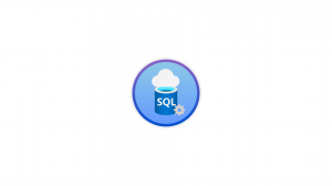 SQL Server 2022 Standard Edition - DG7GMGF0M80J:0002