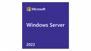 Windows Server 2022 - 1 User CAL - DG7GMGF0D5VX:0007